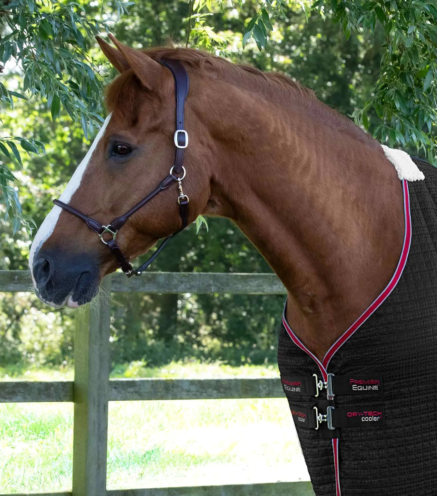 Dry-Tech Horse Cooler Rug Black