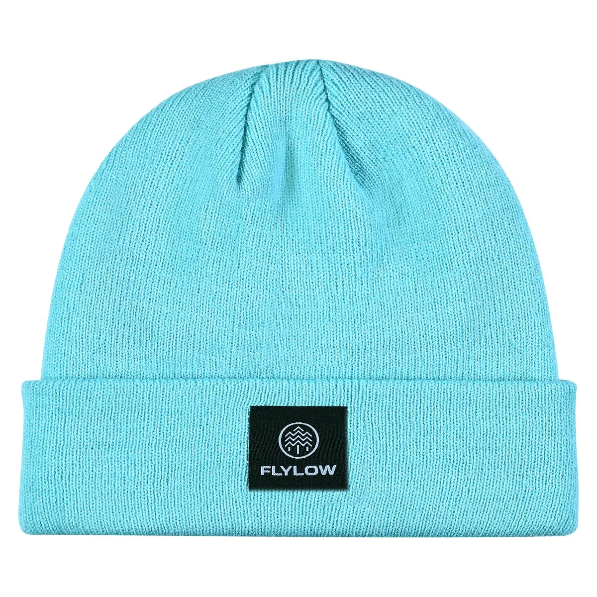 Flylow Longshoremen Beanie Mint