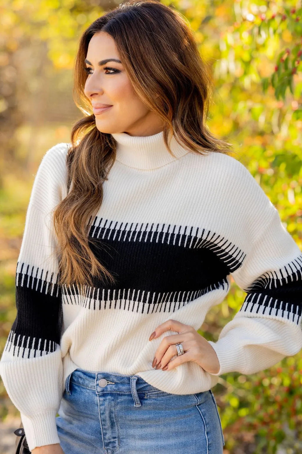 Lined Stripe Relaxed Sleeve Turtleneck Sweater