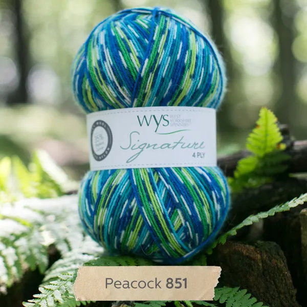 "Peacock" Signature 4ply