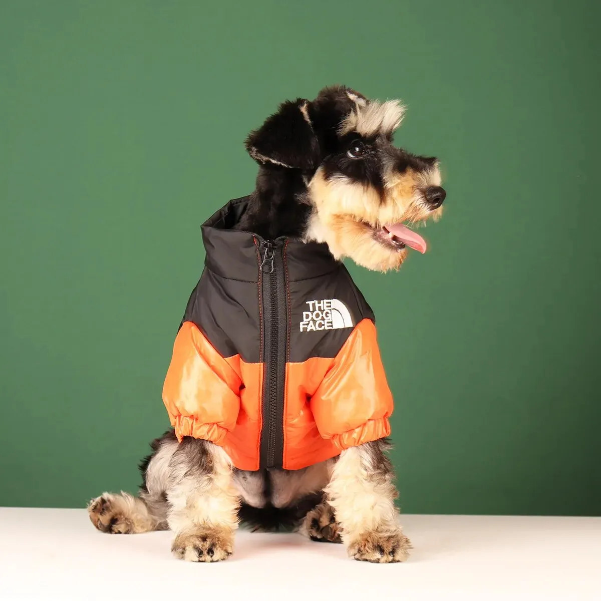 THE DOG FACE JACKET (ADORABLE) WINTER OR WINDBREAKER XS-XXXL SIZES